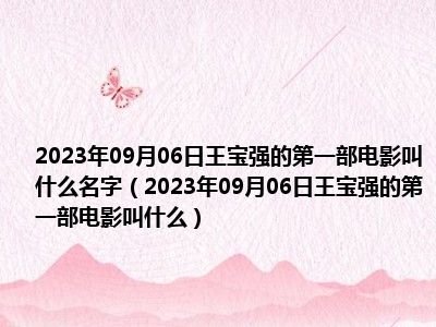 2023年09月06日王宝强的第一部电影叫什么名字（2023年09月06日王宝强的第一部电影叫什么）