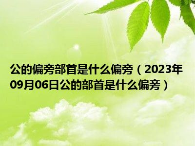 公的偏旁部首是什么偏旁（2023年09月06日公的部首是什么偏旁）