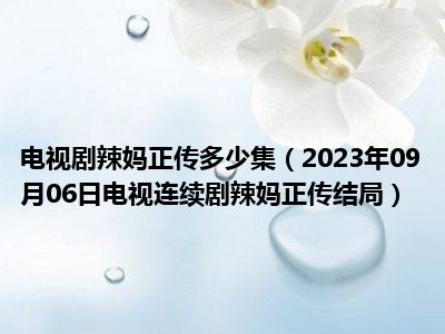 电视剧辣妈正传多少集（2023年09月06日电视连续剧辣妈正传结局）