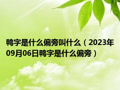 鸭字是什么偏旁叫什么（2023年09月06日鸭字是什么偏旁）