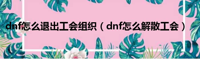 dnf怎么退出工会组织（dnf怎么解散工会）