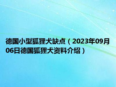 德国小型狐狸犬缺点（2023年09月06日德国狐狸犬资料介绍）