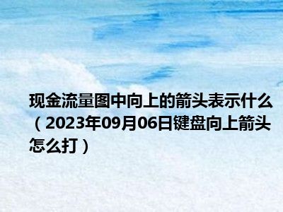 现金流量图中向上的箭头表示什么（2023年09月06日键盘向上箭头怎么打）