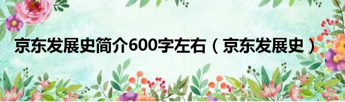 京东发展史简介600字左右（京东发展史）