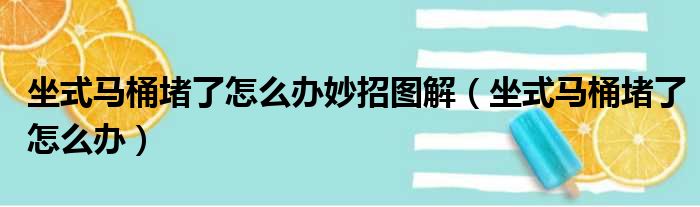 坐式马桶堵了怎么办妙招图解（坐式马桶堵了怎么办）