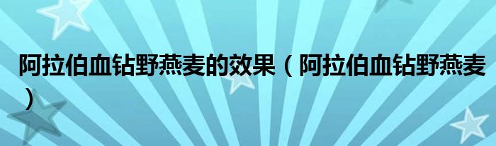  阿拉伯血钻野燕麦的效果（阿拉伯血钻野燕麦）