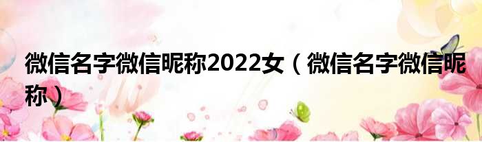 微信名字微信昵称2022女（微信名字微信昵称）