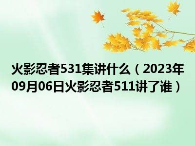 火影忍者531集讲什么（2023年09月06日火影忍者511讲了谁）