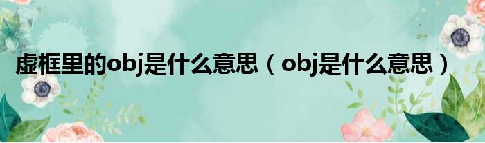 虚框里的obj是什么意思（obj是什么意思）