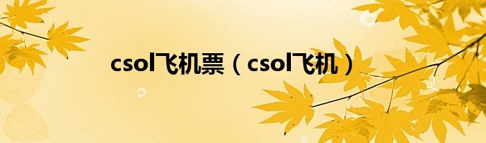  csol飞机票（csol飞机）