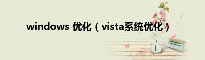  windows 优化（vista系统优化）