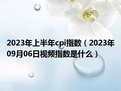 2023年上半年cpi指数（2023年09月06日视频指数是什么）