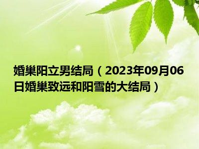 婚巢阳立男结局（2023年09月06日婚巢致远和阳雪的大结局）