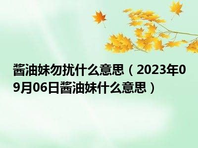 酱油妹勿扰什么意思（2023年09月06日酱油妹什么意思）