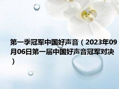第一季冠军中国好声音（2023年09月06日第一届中国好声音冠军对决）