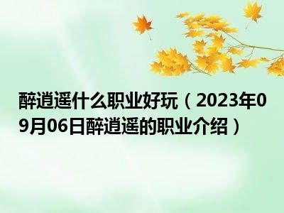 醉逍遥什么职业好玩（2023年09月06日醉逍遥的职业介绍）