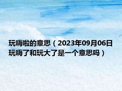 玩嗨啦的意思（2023年09月06日玩嗨了和玩大了是一个意思吗）