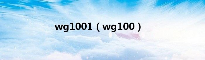  wg1001（wg100）