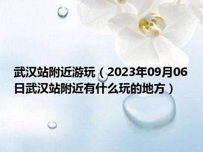 武汉站附近游玩（2023年09月06日武汉站附近有什么玩的地方）