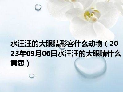 水汪汪的大眼睛形容什么动物（2023年09月06日水汪汪的大眼睛什么意思）