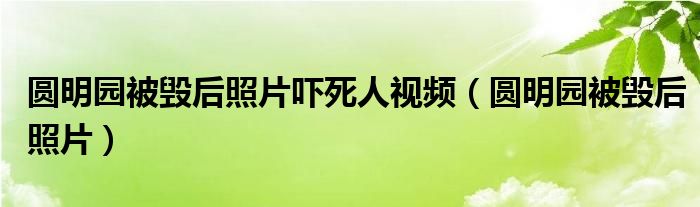  圆明园被毁后照片吓死人视频（圆明园被毁后照片）