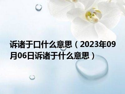 诉诸于口什么意思（2023年09月06日诉诸于什么意思）