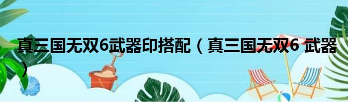 真三国无双6武器印搭配（真三国无双6 武器）