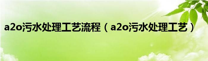  a2o污水处理工艺流程（a2o污水处理工艺）