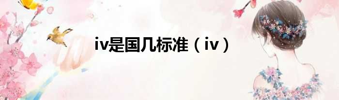 iv是国几标准（iv）