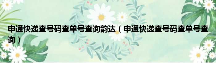 申通快递查号码查单号查询韵达（申通快递查号码查单号查询）