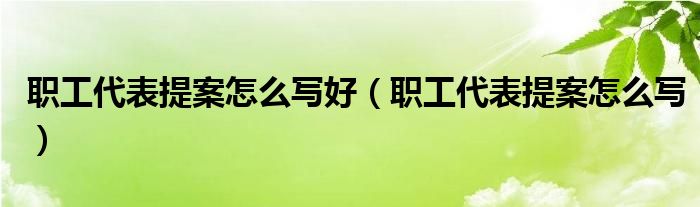  职工代表提案怎么写好（职工代表提案怎么写）