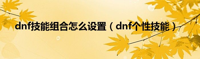  dnf技能组合怎么设置（dnf个性技能）