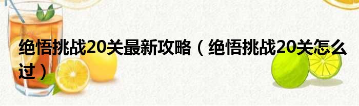 绝悟挑战20关最新攻略（绝悟挑战20关怎么过）