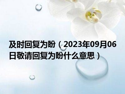 及时回复为盼（2023年09月06日敬请回复为盼什么意思）