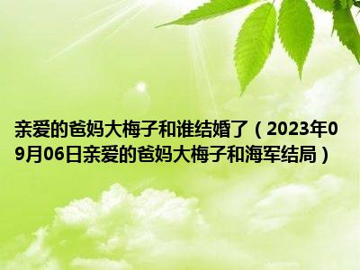 亲爱的爸妈大梅子和谁结婚了（2023年09月06日亲爱的爸妈大梅子和海军结局）