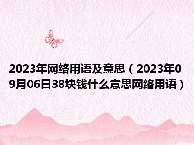 2023年网络用语及意思（2023年09月06日38块钱什么意思网络用语）