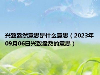 兴致盎然意思是什么意思（2023年09月06日兴致盎然的意思）