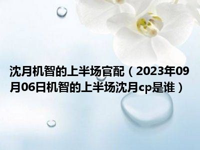 沈月机智的上半场官配（2023年09月06日机智的上半场沈月cp是谁）