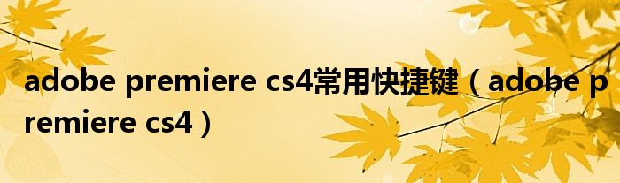  adobe premiere cs4常用快捷键（adobe premiere cs4）