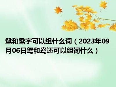 鸳和鸯字可以组什么词（2023年09月06日鸳和鸯还可以组词什么）