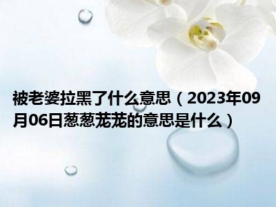 被老婆拉黑了什么意思（2023年09月06日葱葱茏茏的意思是什么）