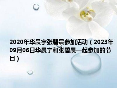 2020年华晨宇张碧晨参加活动（2023年09月06日华晨宇和张碧晨一起参加的节目）