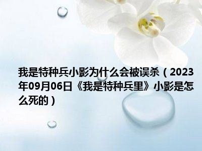 我是特种兵小影为什么会被误杀（2023年09月06日《我是特种兵里》小影是怎么死的）