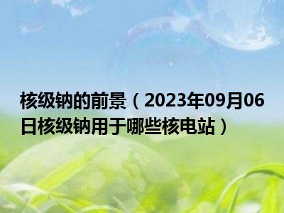 核级钠的前景（2023年09月06日核级钠用于哪些核电站）