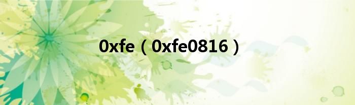  0xfe（0xfe0816）