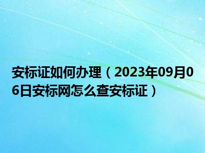 安标证如何办理（2023年09月06日安标网怎么查安标证）