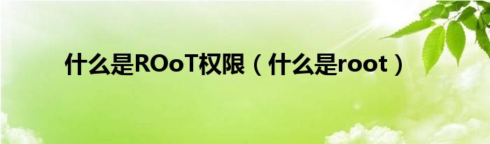  什么是ROoT权限（什么是root）