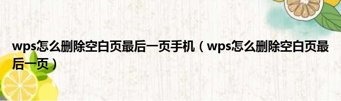 wps怎么删除空白页最后一页手机（wps怎么删除空白页最后一页）