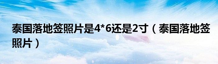  泰国落地签照片是4*6还是2寸（泰国落地签照片）