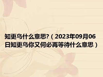 知更鸟什么意思 （2023年09月06日知更鸟你又何必再等待什么意思）